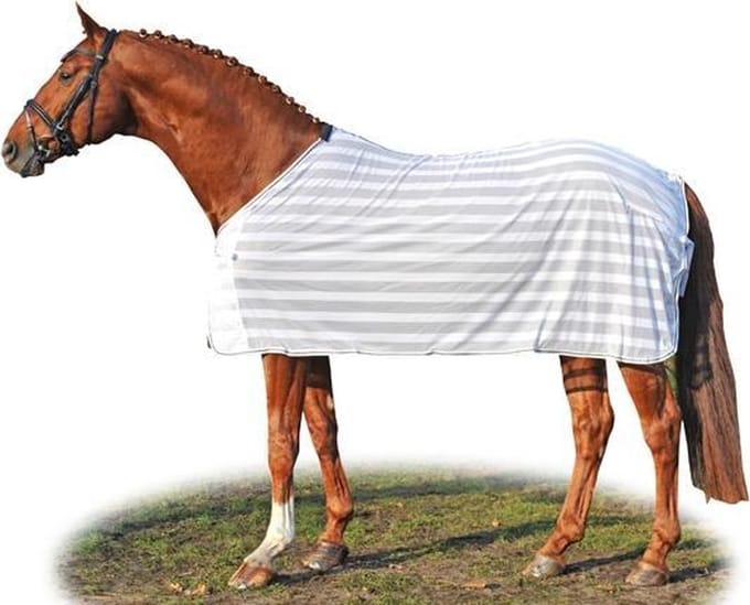 Paardenvliegendeken HKM
