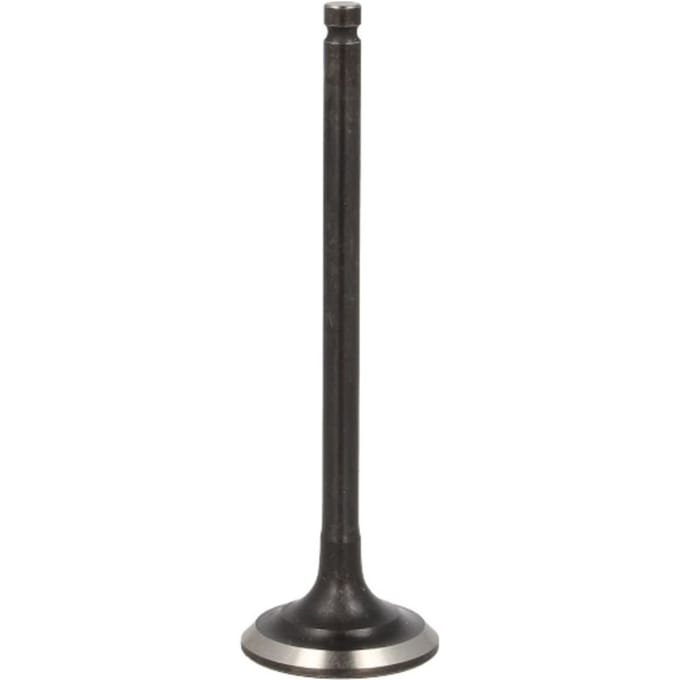 Uitlaatklep FRECCIA R6069/BMARNT
