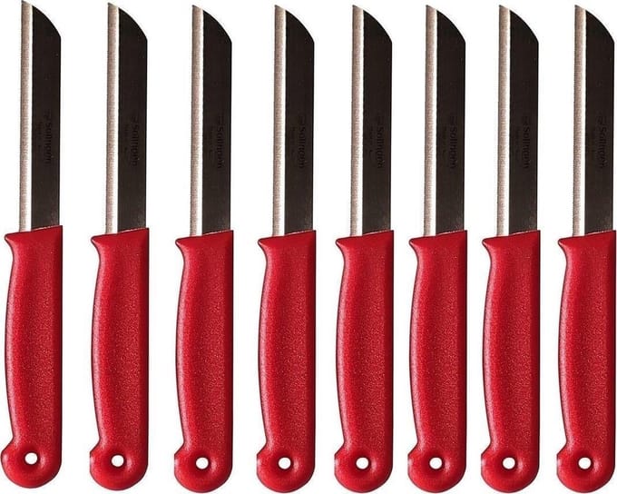 Schilmesje - RVS met Kartel - Rood - 10 Stuks
