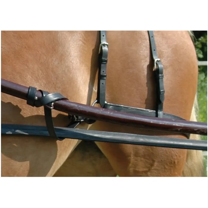 Paardensporen Chetak
