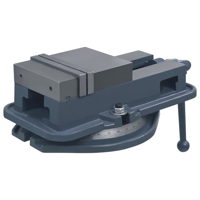 vidaXL - Bankschroef - draaibaar - 160 - mm - gietijzer