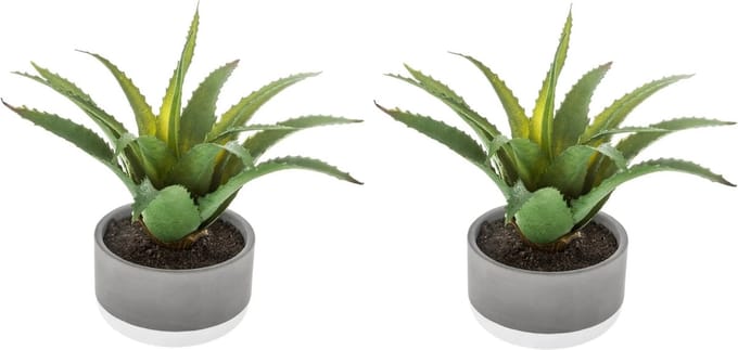 Set van 2x stuks atmosphera kunstplanten in pot van cement 22 cm - Nepplanten