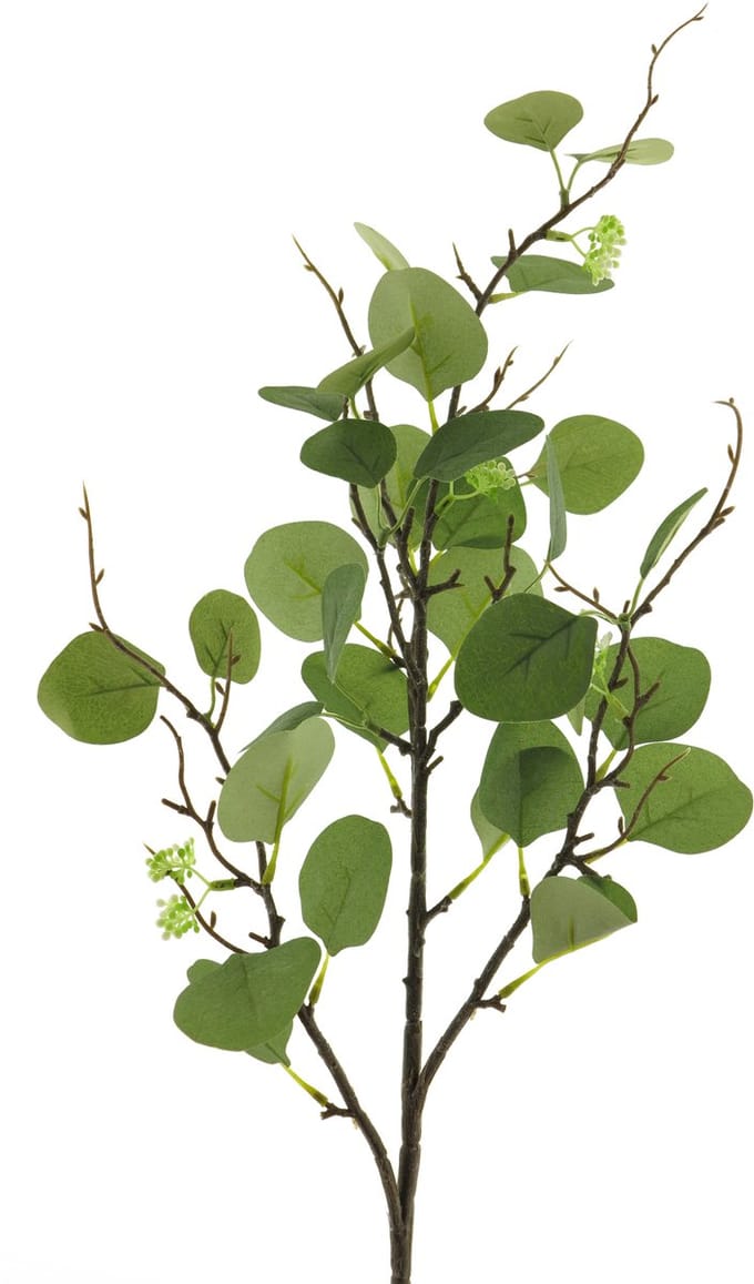 Bellatio Design Kunsttak / kunstbloem Eucalyptus - 92 cm - groen - boeket opvulling bladgroen