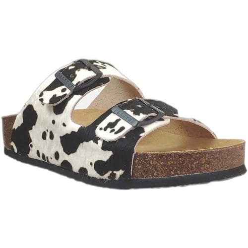Slippers Plakton Cp beta 2
