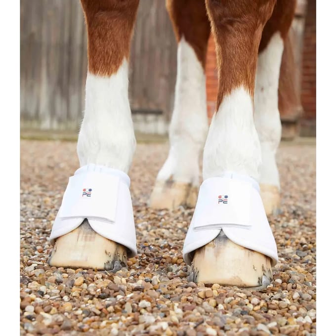 Handschoenovertrek voor paarden Premier Equine Carbon Wrap Over Reach