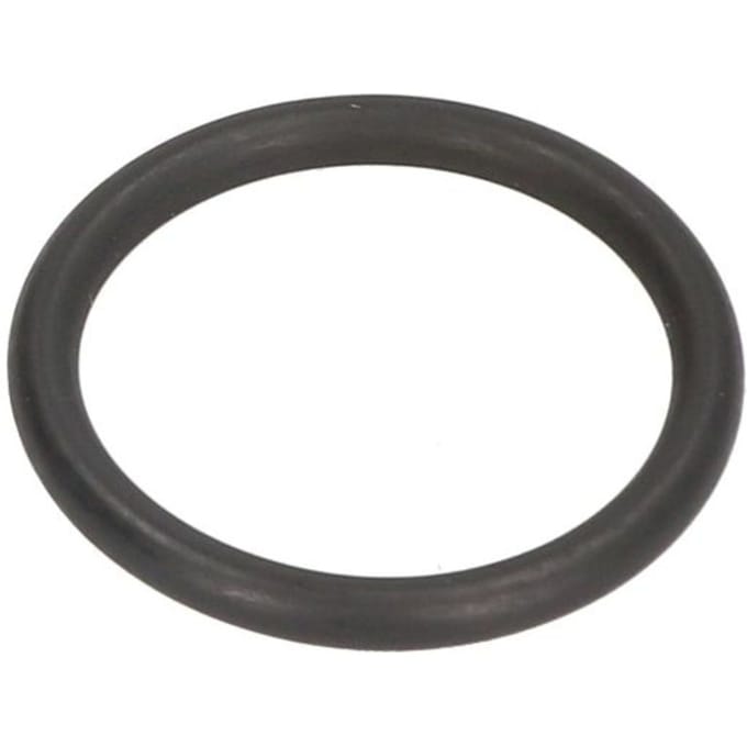 Afdichtingsring BOSCH F 00R J01 950