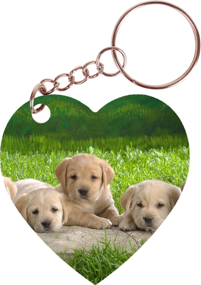 Sleutelhanger hartje 5x5cm - Golden Retreiver Pups