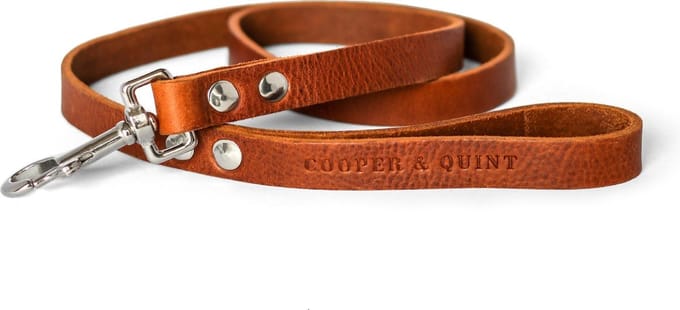 Cooper & Quint No Fuss Hondenriem - Bruin - Smal - 105 cm - Zilver