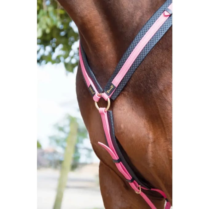Jachthalsband voor paarden T de T