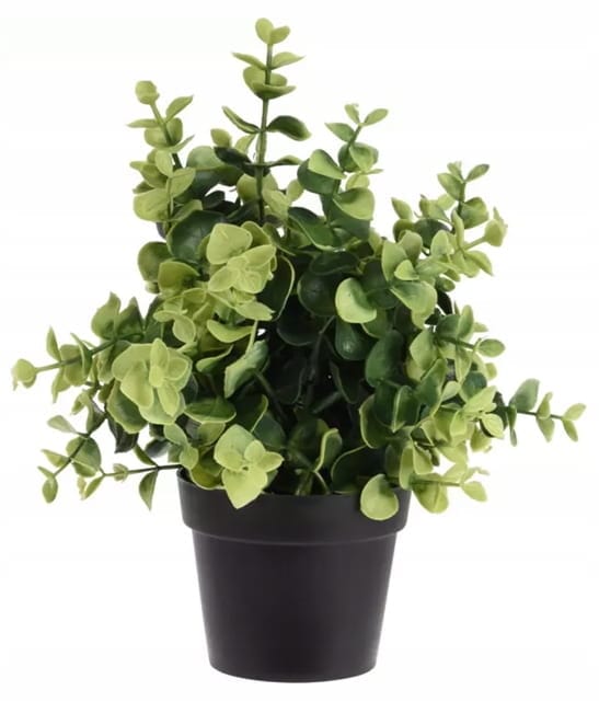 Kunstmatige Decoratieve Plant in Pot 23cm zwart