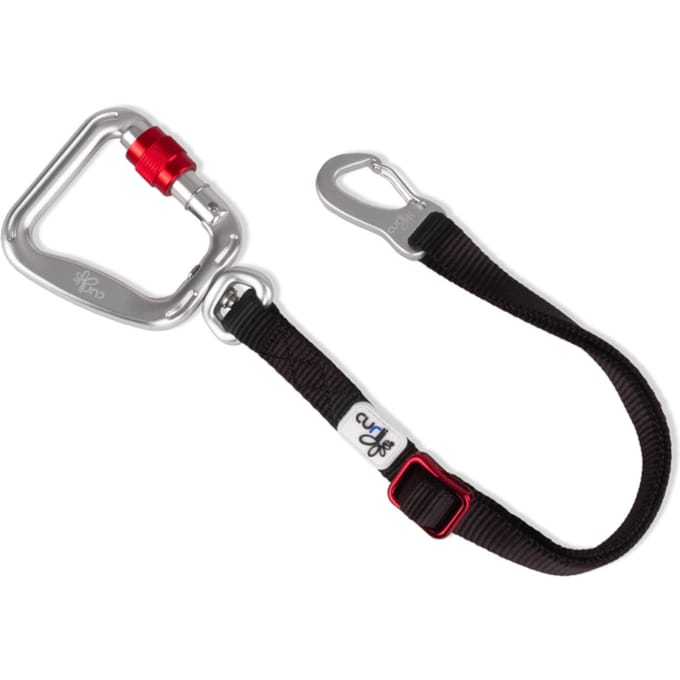 Curli autogordel maat L: 60 cm lang, 20 mm breed Hond