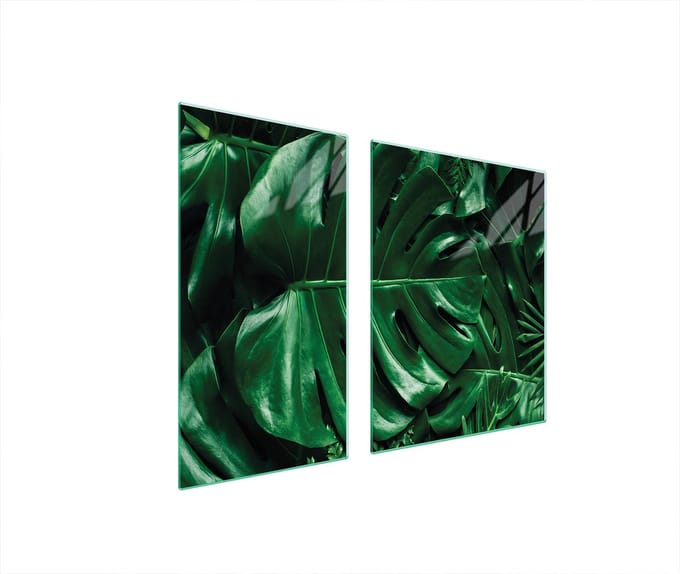 TMK ArtDeko - Monstera - Glazen Beschermplaat - 90x52cm - Multifunctioneel