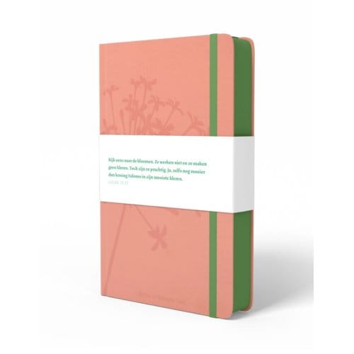 Bgt Compact Roze