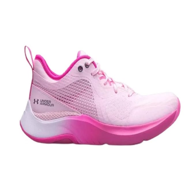 Lage Sneakers Under Armour Hovr Omnia