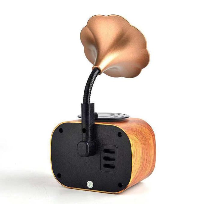 Haut-parleur de musique rétro, haut-parleur sans fil BT Vintage, haut-parleur d'extérieur Portable écorce tannante