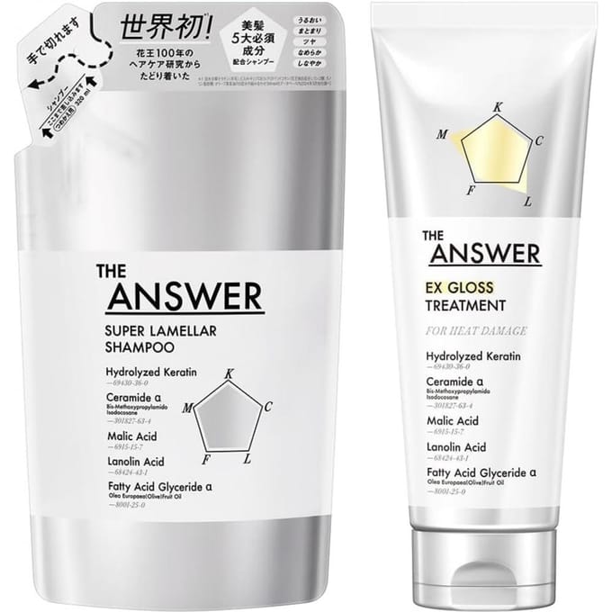 Kao - THE ANSWER EX Gloss Treatment For Heat Damage 220g