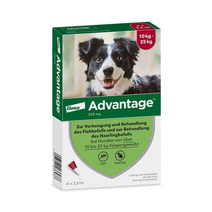 Advantage® 250 4 Pipetten voor honden van 10kg tot minder dan 25kg - NL