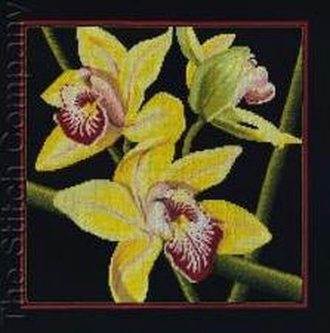 Borduurpakket Orchids Cymbidium om te borduren