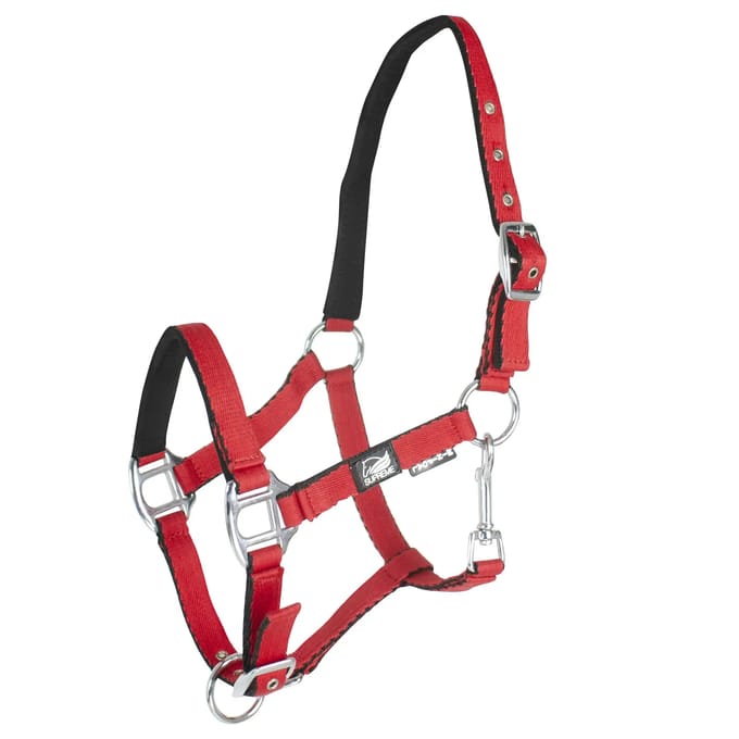 Halsband voor veulen met dubbele afstelling Supreme