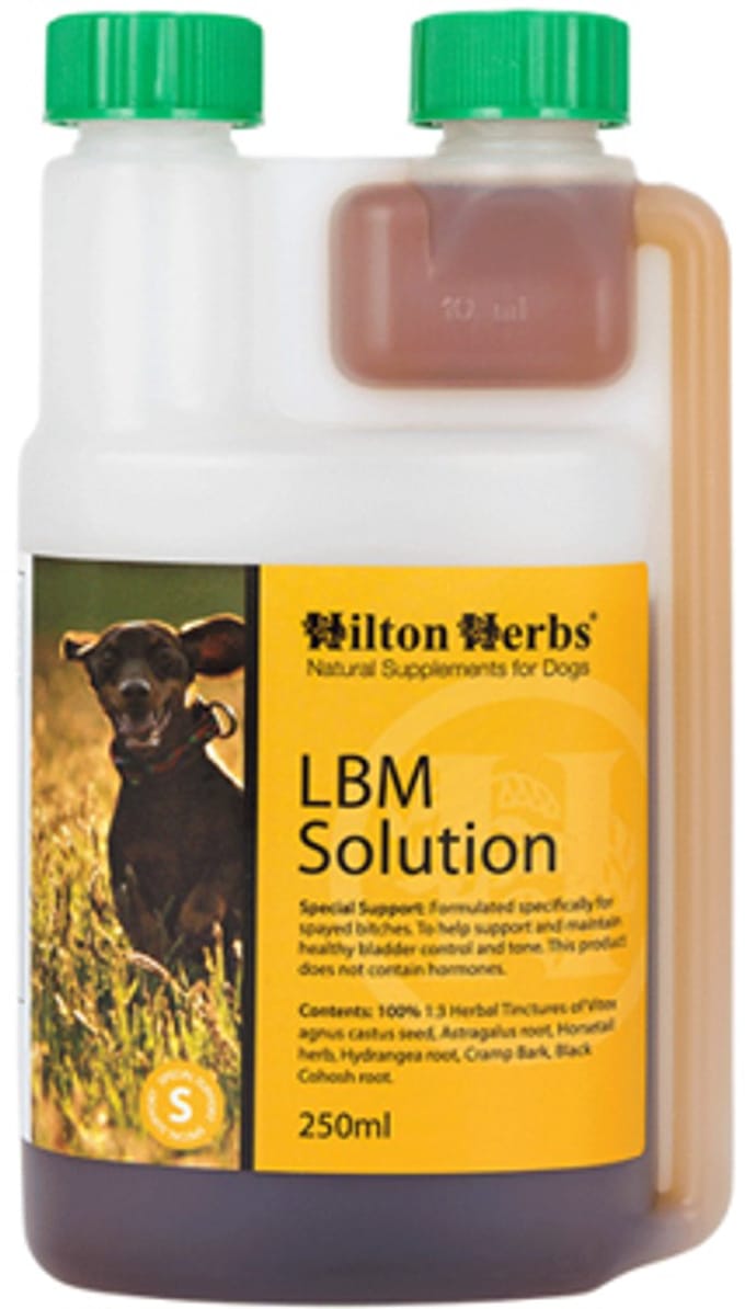 Hilton Herbs LBM Solution for Dogs - 500 ml