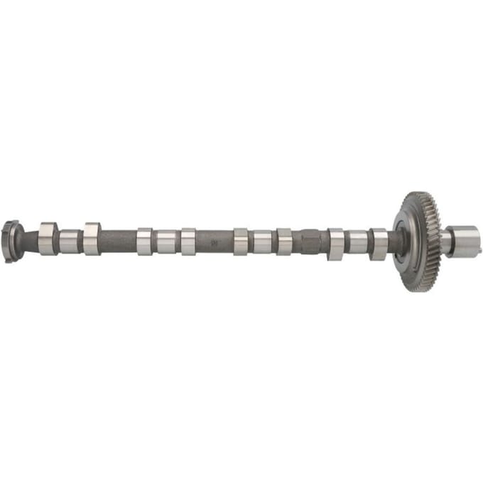 Nokkenas  AE CAM973