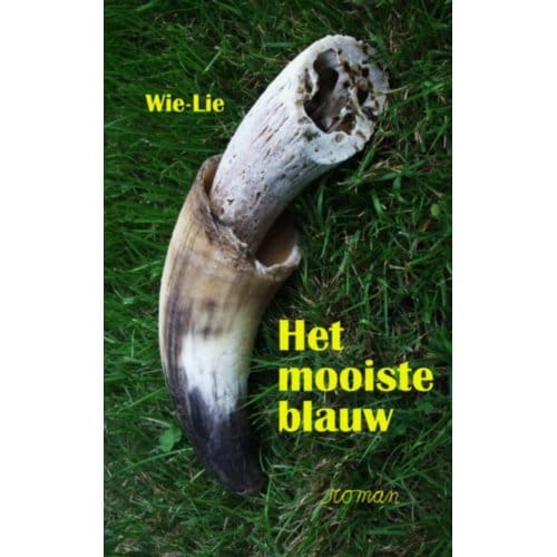 Het Mooiste Blauw - Wiel Goossens