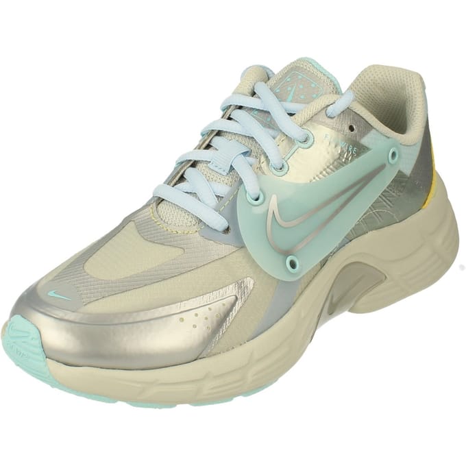 Nike Dames Alphina 5000 Zilveren Sneakers