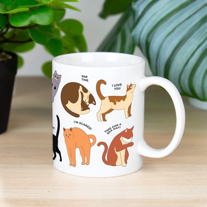 Gift Republic How To Speak Cat mok