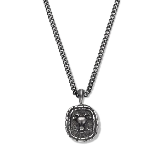 Frank1967 7FB-0042 zodiac ketting - 60CM - Steenbok - Cadeau voor mannen - Sterrenbeeld