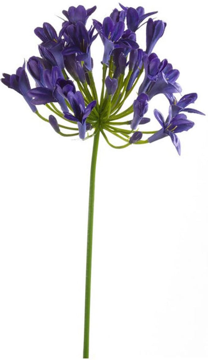 Emerald - Kunstbloem Agapanthus 75cm blauw - Kunstplant voor binnen
