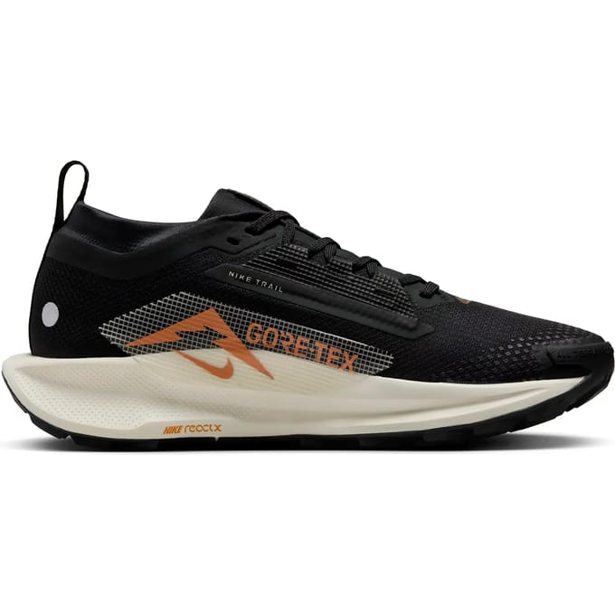 Damesschoenen Nike Pegasus 5 Gore-Tex