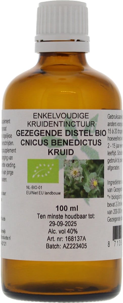 Cnicus Bened/Gezegende Distel
