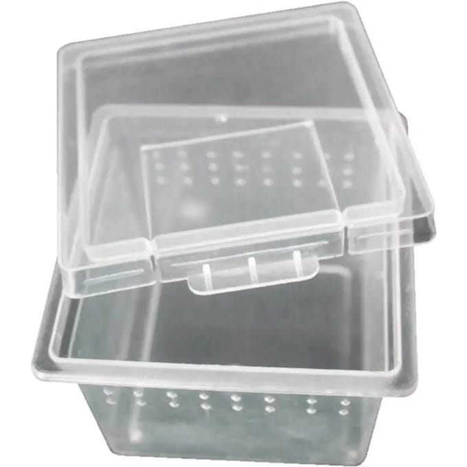 Transportbox voor reptielen Reptiles Planet