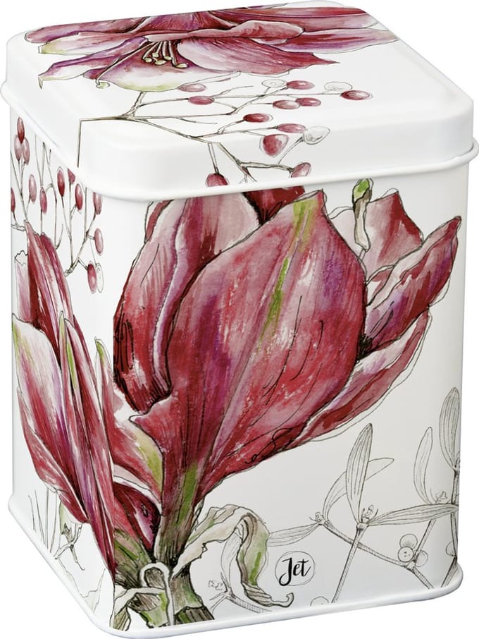 Theeblik WINTER AMARYLLIS wit