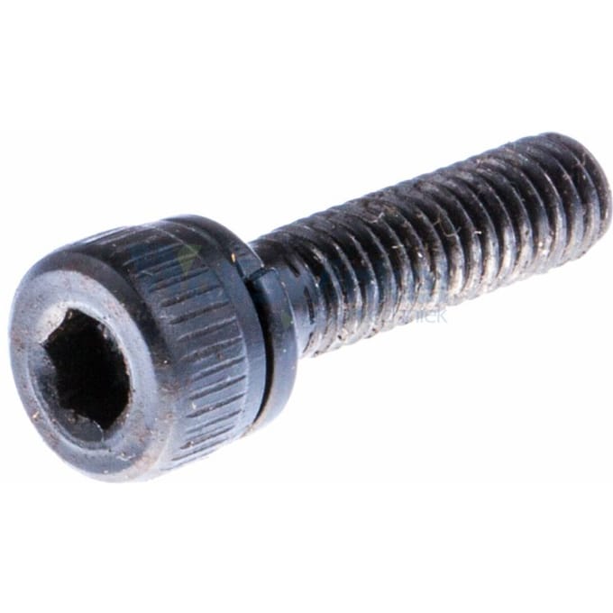 Screw