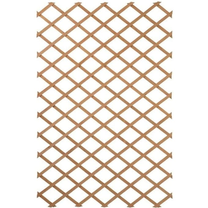Nature Treillis de jardin 100 x 300 cm Bois Marron 419779