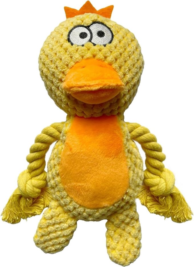 Famanu – Piepende hondenknuffel eend – Zacht pluche kauwspeelgoed – Training en spel