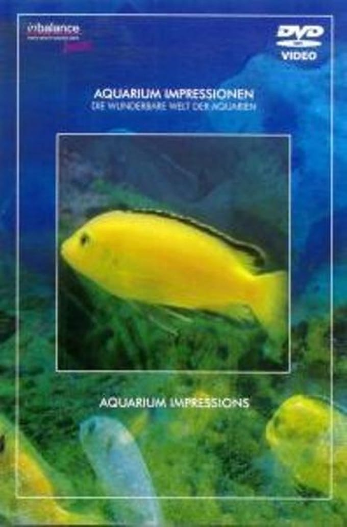 Aquarium Impressions