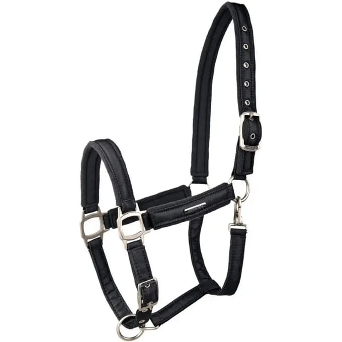 Halster voor paarden Lami-Cell Aurora