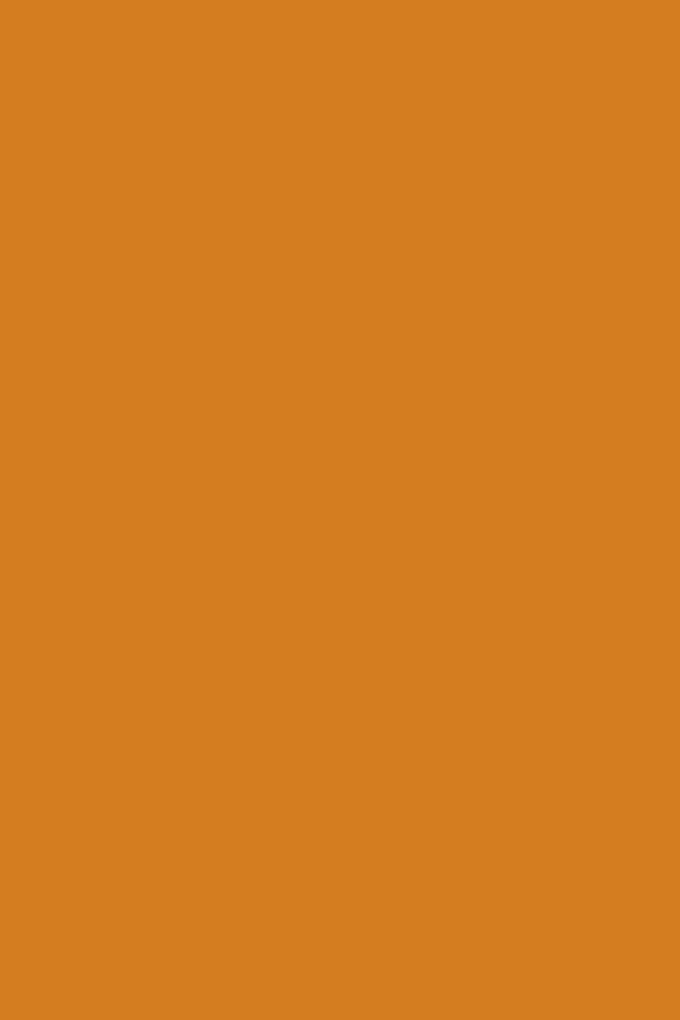 Folia Tekenpapier terracotta 50x70 cm - 130 gram
