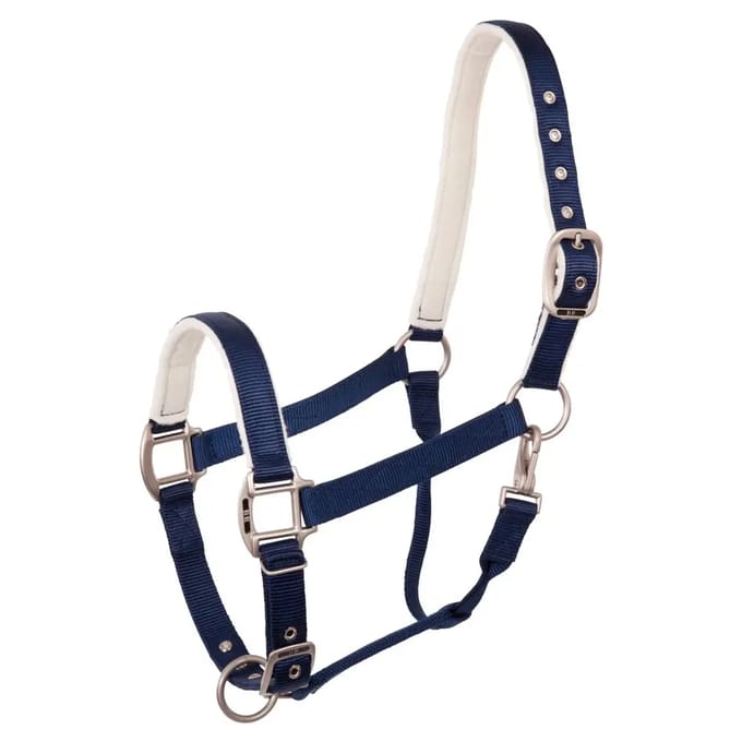 Halster voor paarden BR Equitation Event