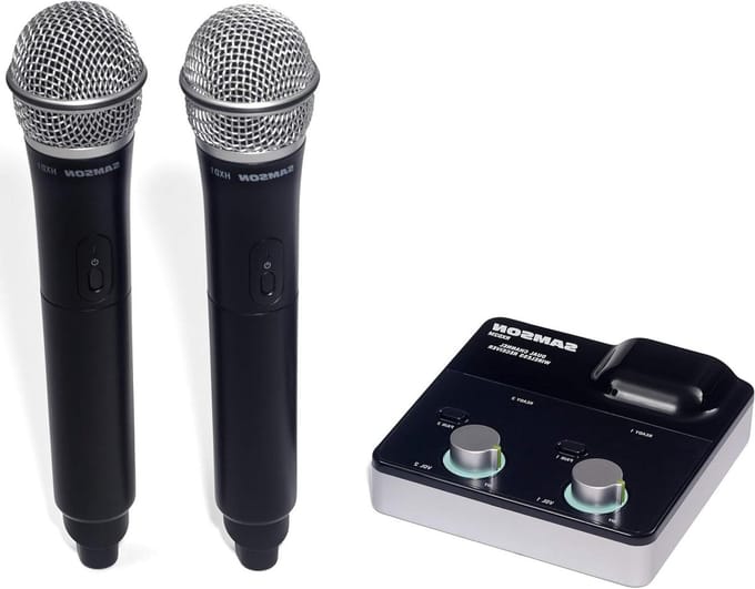 Draadloos Microfoonsysteem - Handheld Microfoon Set - Presentaties Geven - Dubbel Kanaal Systeem - 30 m Bereik - Zwart