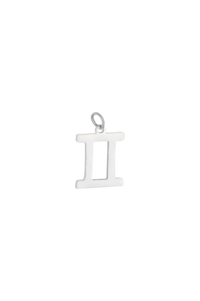 hanger - chinees sterrenbeeld - stainless steel - zilver - kerst
