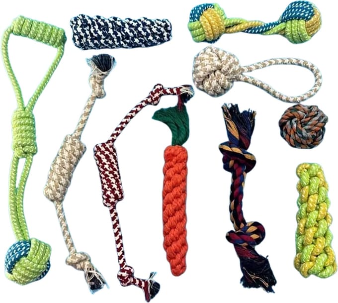 Nivard Honden Speelgoed - Hond - Speelgoed - Dog Toy - Pluche - 3st