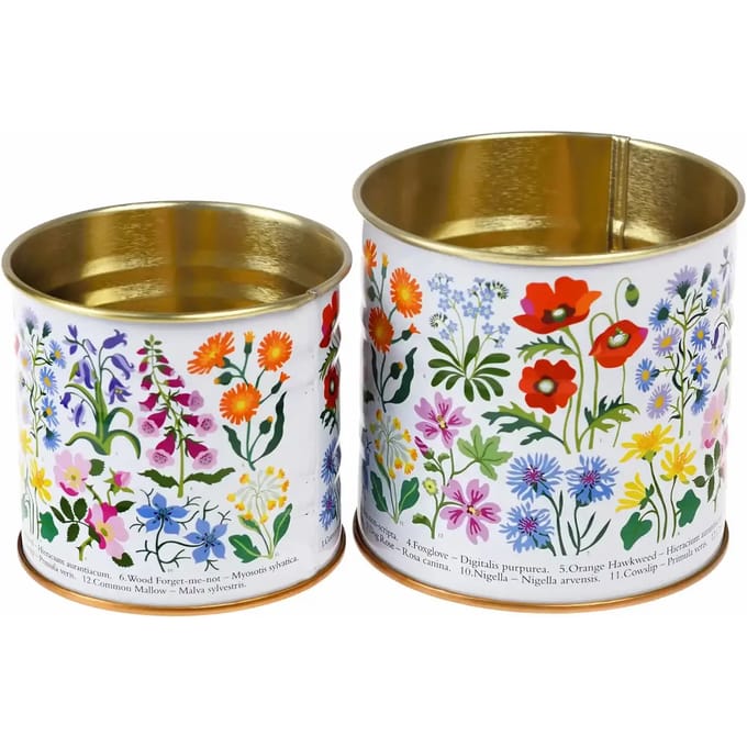 Metalen opbergdoos Rex London Wild Flowers (x2)