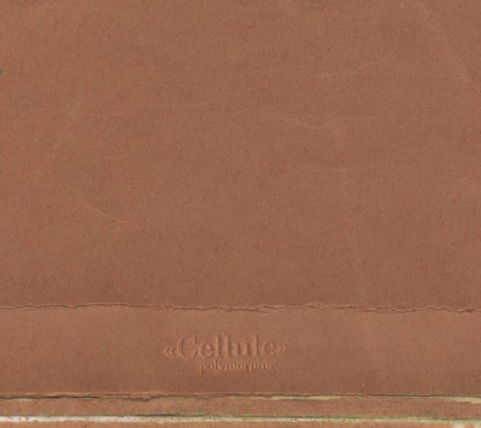 Polymorphie - Cellule (CD)