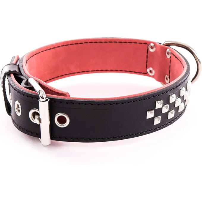 Hondenhalsband van leer Vivog Clou