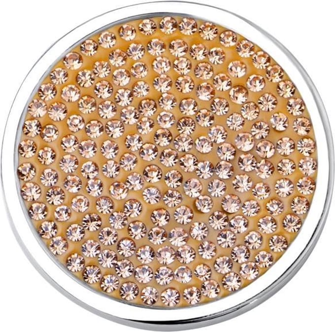 Quiges - Munthouder Munt 25mm RVS met Zirkonia Champagne - EPRS061