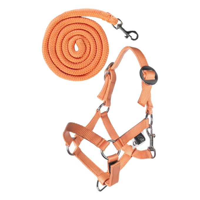 HKM HALSTER EN TOUW HOBBY HORSING BASIC Oranje