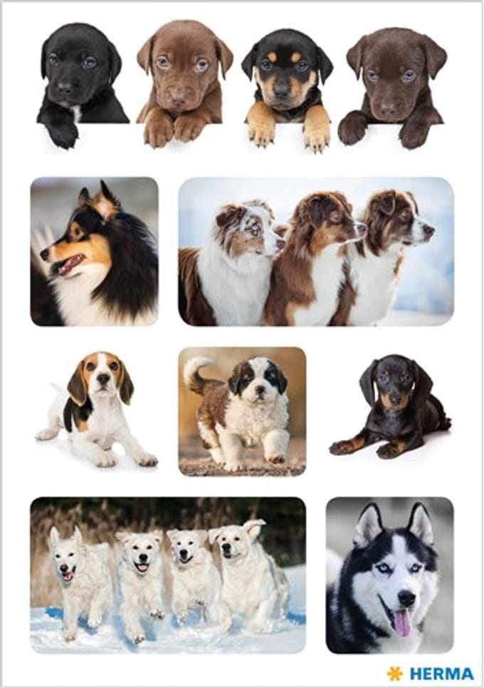 Haza Original Stickers Honden 3 Vellen